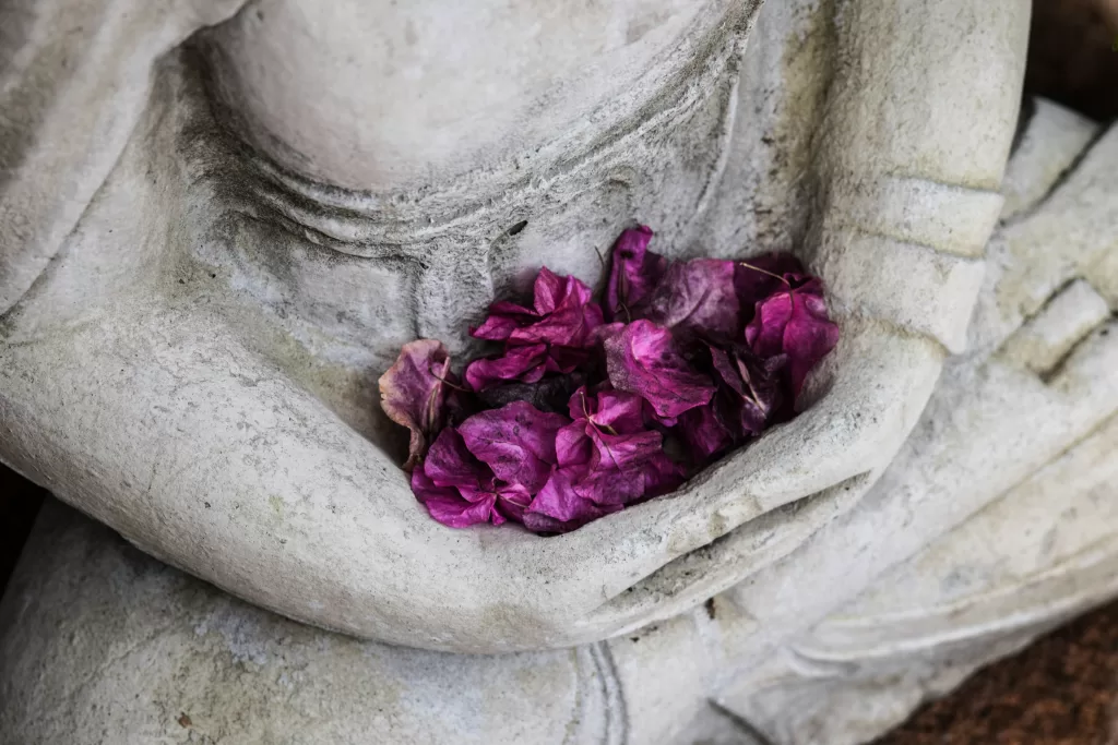 Meditating Buddha statue symbolizing peace, balance, and holistic wellness.